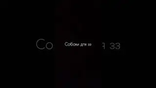 Собаки для зз! Часть 1! #dog