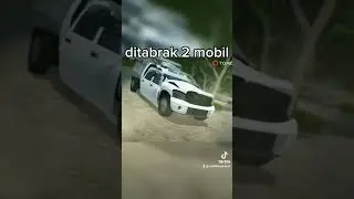 kasus kematian hewan paling mengerikan part 4 