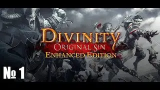 Divinity: Original Sin. Серия 1