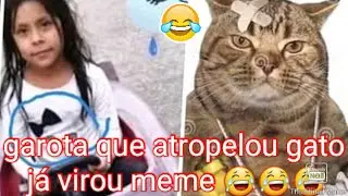 Menina que atropelou gato vira meme