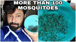 Eco friendly Mosquito machine | safe for kids | No smoke | No smell | No Refilling | No Chemicals
