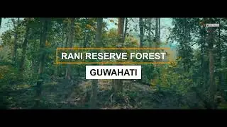 Just A video From Rani forest🌲