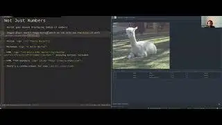 JUXT Safari - Portal, Developing with Data with Chris Williams