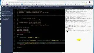 COP3014Cvideo_string_2 _haracter