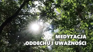 Meditation for Beginners - Breathing and Mindfulness