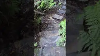 Blue Mountains
