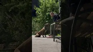 Я В ШОКЕ! ЧЕГО ОН ХОЧЕТ… 
