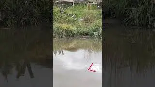 ბუღდაშენის მდინარის გაწმენდაში ვალანტიორები ერთვებიან"