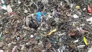 Восточное Бутово несанкционированая свалка  мусора в Боброво 2  11 07 2019