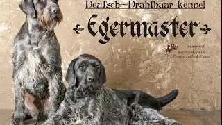 bark drahrthaa