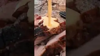 How to cook food in the wild #cooking #wildernesssurvival