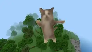 Кот Шнапи но о ВЗРОСЛЕЕТ 😱🤤