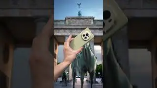 Nuevo 