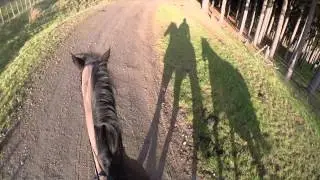 Horse riding- Teaser Video.