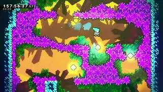 6B Golden Berry in Celeste