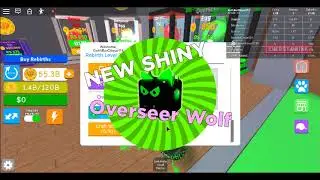 Magent Simulator giving away overseer pets