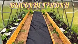 КАК СДЕЛАТЬ ВЫСОКИЕ ГРЯДКИ В ТЕПЛИЦЕ.