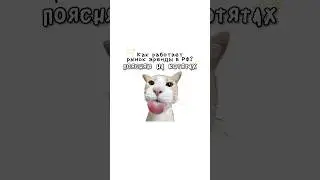 How does the rental market work?