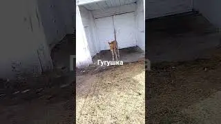 11 мая 2023 г.