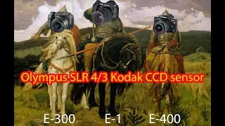 Test of Olympus DSLRs with Kodak CCD sensor: E-1, E-300, E-400