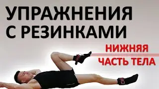 ЛУЧШИЕ упражнения с резинками (эспандерами). Нижняя часть тела