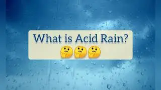 Acid Rain | Why rain become acidic | Harmful effects of Acid rain | Causes and effects of Acid Rain
