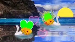 Wedding green screen effect background   swan swimming background effect