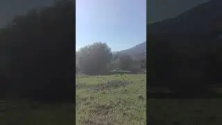 Azul fellawen