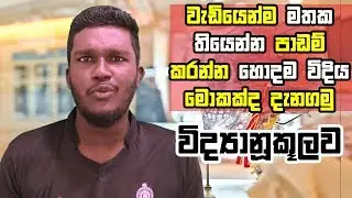 Scientifically Proven Best Ways to Study -   Memorise Fast and Easy in Sinhala