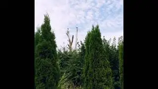 Посещаю интересные места на земле