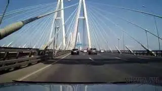 утка мама переводит утят через Мурманское шоссе