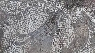 Сейфора Циппори Античный город в Израиле.На мозаиках - поросята .О кашруте здесь и не слыхали