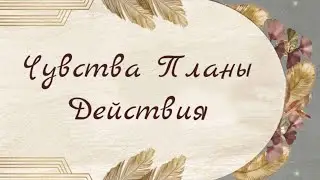 ЧУВСТВА | ПЛАНЫ | ДЕЙСТВИЯ 💯🔮🦋💜😻❤️ Таро расклад онлайн