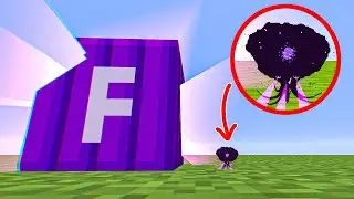 formidi bomb explosion near tiny wither storm