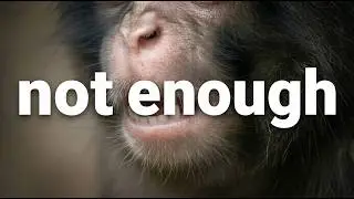 The Real Reason Punch Can't Just Be One of Them | Ichikawa City Zoo