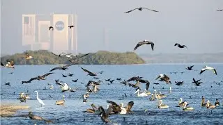 Indian River Lagoon Health Initiative Plan