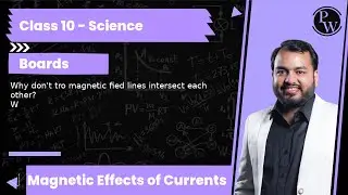 Why don't tro magnetic fied lines intersect each other?
W