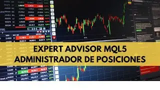 Cómo crear un Expert Advisor MQL5 para metatrader 5 | FOREX | Mercado de divisas | Trading | 2024