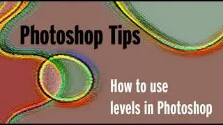 How To Use Levels in Photoshop