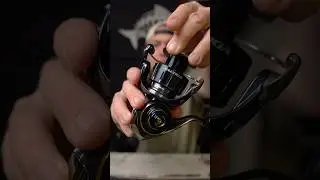 $950 Reel Unboxing | 2023 Daiwa Saltiga