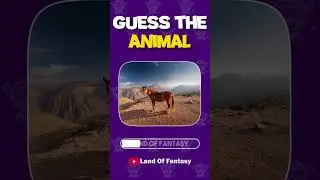 Guess The Animal in Just 3 seconds Challenge 🦝🦒🦁 !!!