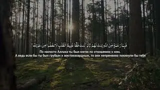 Вы будете пересматривать этот клип не один раз! Потрясающее чтение Шейх Махмуд Халиль Аль Хусари