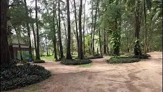 Discover the Hidden Wonders: A Virtual Tour of Phuket's National Park Paradise on Nai Yang Beach