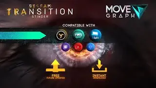 Scary Stinger Transition - For OBS | Streamlabs | Premiere PRO