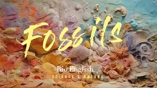 English Speaking Practice | Fossils | BBC Learning English | Science and Nature ESL
