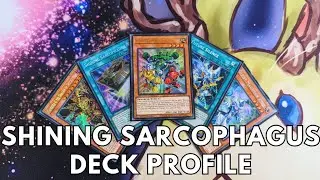 Competitive Shining Sarcophagus deck profile June 2024 TCG Yugioh