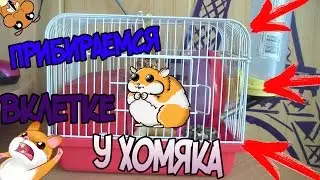 !!Прибираемся В Клетке У Хомяка Джеси!!