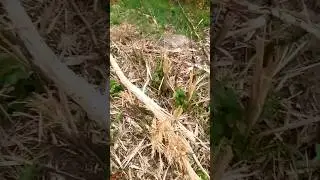 Как это так вообще ? 