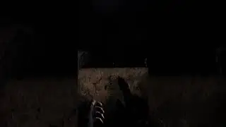 Stalker GAMMA MOD More Immersive Than Stalker 2 ?  | 