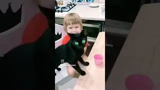 Маленькая черная кошка Снежок и ее подружка.